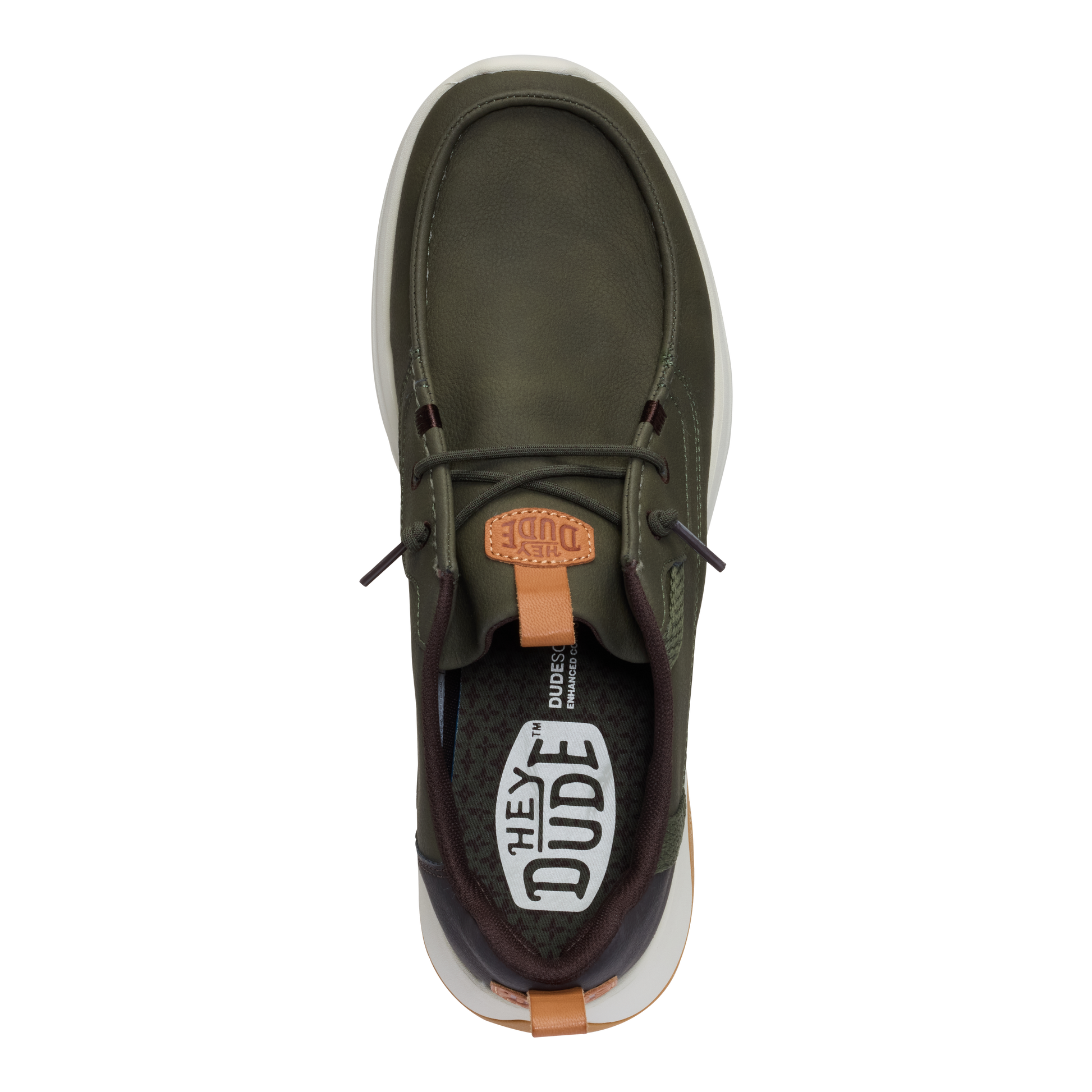 deep green silver birch